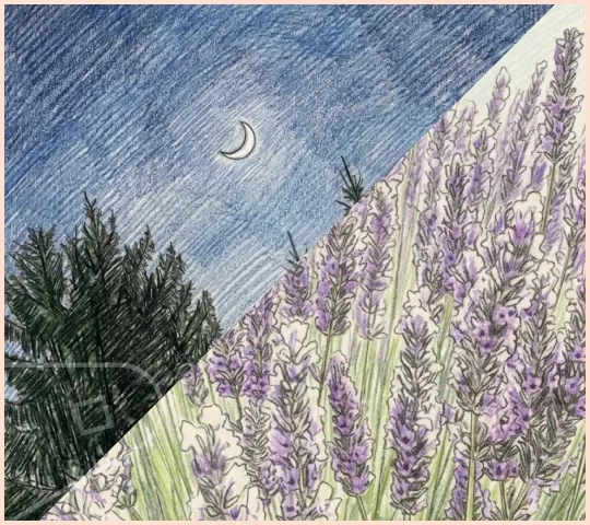 Soft, moody, late-summer atmosphere