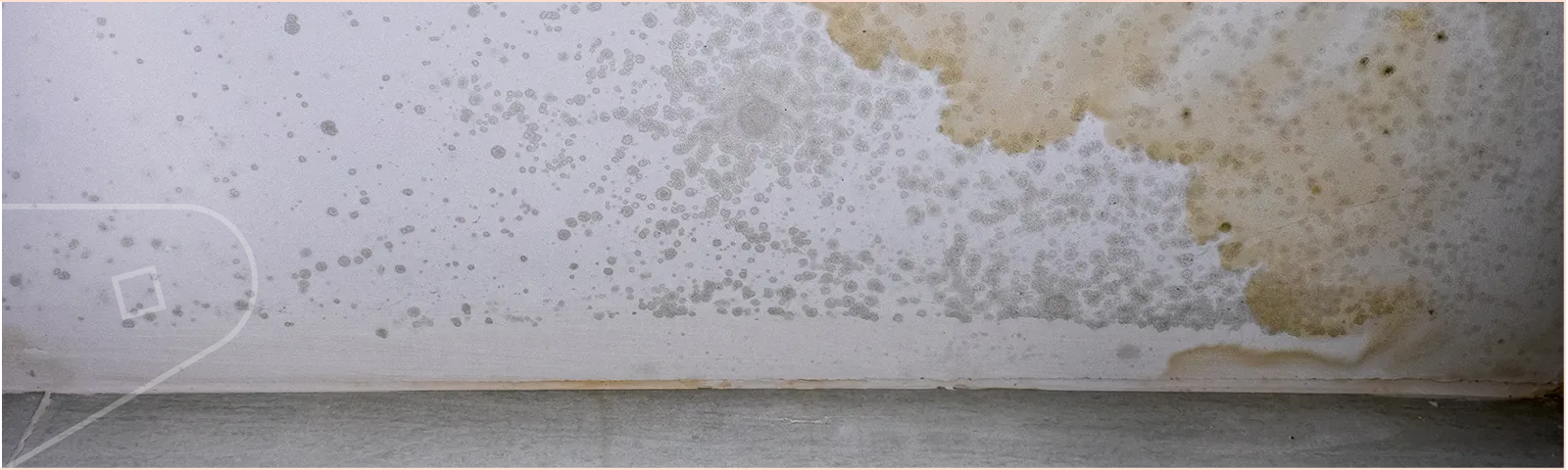 damaged wall in the corner of a utility room, showing signs of damp and. mould from condensation