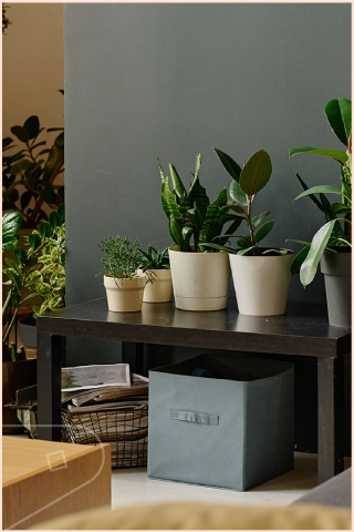 Stylish interior with potted houseplants on a dark bench, fabric storage box and neutral wall, creating a calm and organised living space