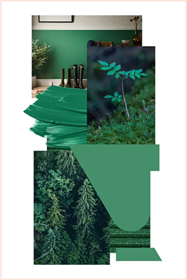 Mood board showing forest green colours that match direct claddings Forest pvc cladding, including, a forest scene, small tree, hallway with cladding, material and colour swatches.